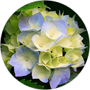 hesty hede profile picture